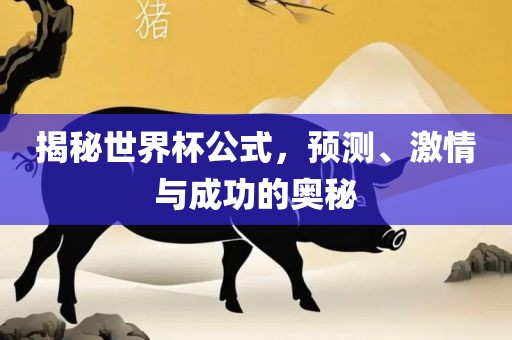 揭秘世界杯公式，预测、激情与成功的奥秘