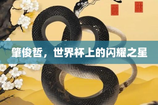 肇俊哲，世界杯上的闪耀之星