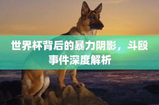 世界杯背后的暴力阴影，斗殴事件深度解析