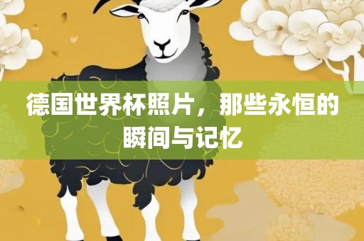 德国世界杯照片，那些永恒的瞬间与记忆