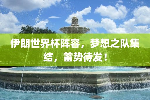 伊朗世界杯阵容，梦想之队集结，蓄势待发！