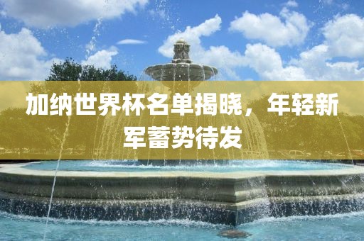 加纳世界杯名单揭晓，年轻新军蓄势待发