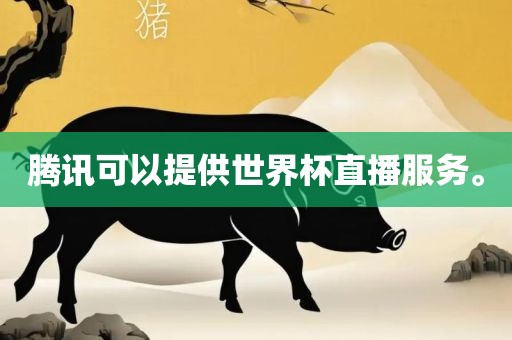 腾讯可以提供世界杯直播服务。
