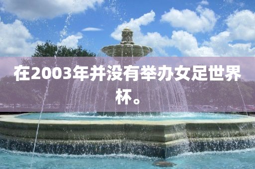 在2003年并没有举办女足世界杯。