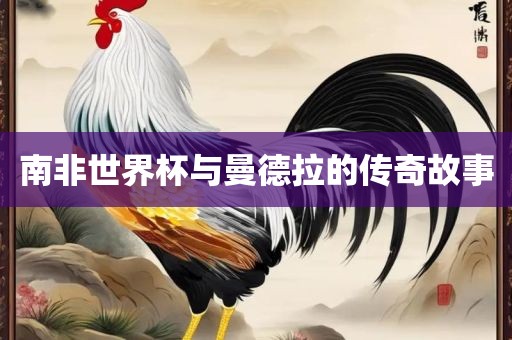 南非世界杯与曼德拉的传奇故事