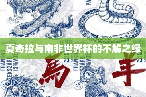 夏奇拉与南非世界杯的不解之缘