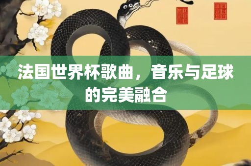 法国世界杯歌曲，音乐与足球的完美融合