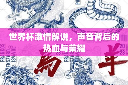 世界杯激情解说，声音背后的热血与荣耀