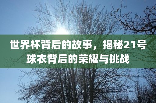 世界杯背后的故事，揭秘21号球衣背后的荣耀与挑战