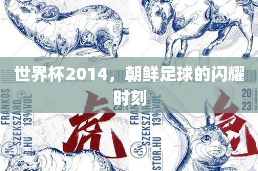 世界杯2014，朝鲜足球的闪耀时刻