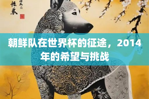 朝鲜队在世界杯的征途，2014年的希望与挑战