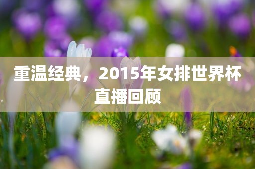 重温经典，2015年女排世界杯直播回顾