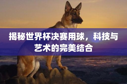揭秘世界杯决赛用球，科技与艺术的完美结合