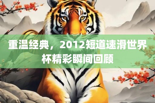 重温经典，2012短道速滑世界杯精彩瞬间回顾