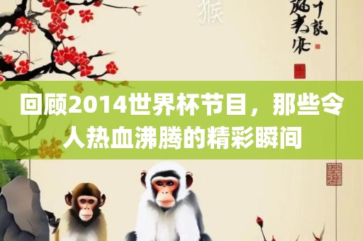 回顾2014世界杯节目，那些令人热血沸腾的精彩瞬间