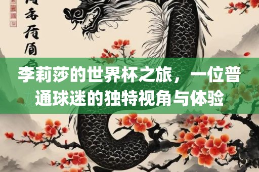 李莉莎的世界杯之旅，一位普通球迷的独特视角与体验