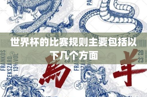 世界杯的比赛规则主要包括以下几个方面