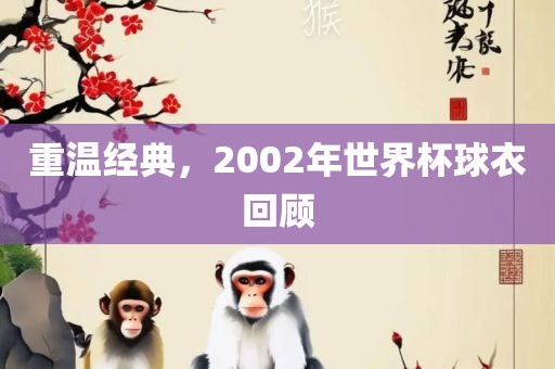 重温经典，2002年世界杯球衣回顾