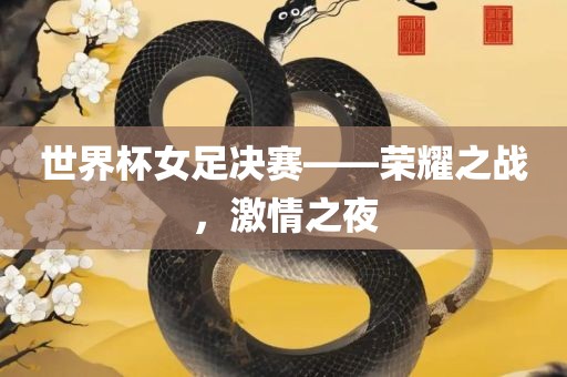 世界杯女足决赛——荣耀之战，激情之夜