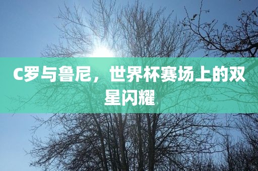 C罗与鲁尼，世界杯赛场上的双星闪耀