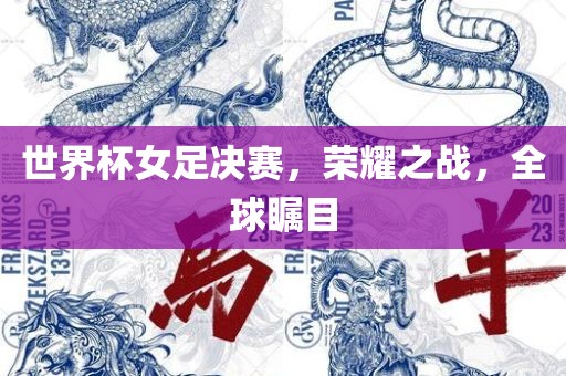 世界杯女足决赛，荣耀之战，全球瞩目