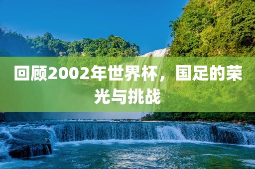 回顾2002年世界杯，国足的荣光与挑战