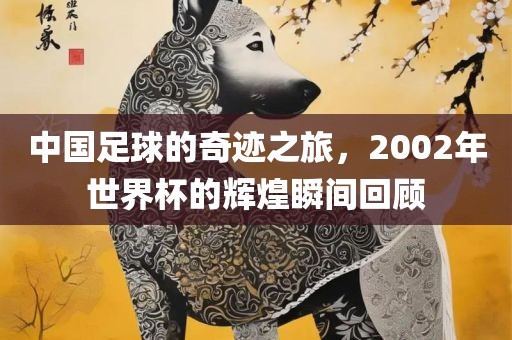 中国足球的奇迹之旅，2002年世界杯的辉煌瞬间回顾