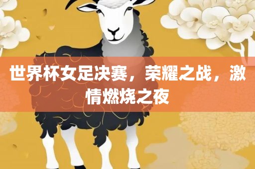 世界杯女足决赛，荣耀之战，激情燃烧之夜