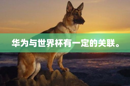 华为与世界杯有一定的关联。