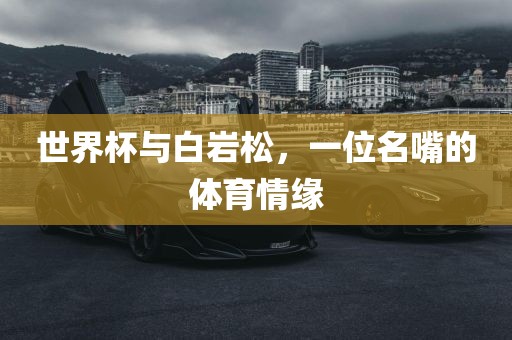 世界杯与白岩松，一位名嘴的体育情缘