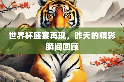 世界杯盛宴再现，昨天的精彩瞬间回顾