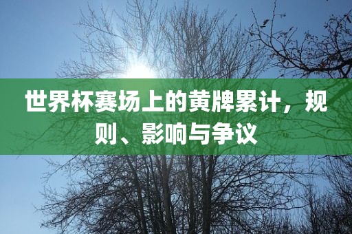 世界杯赛场上的黄牌累计，规则、影响与争议