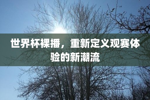 世界杯裸播，重新定义观赛体验的新潮流