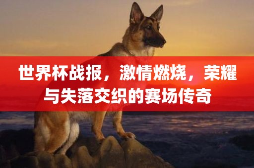 世界杯战报，激情燃烧，荣耀与失落交织的赛场传奇