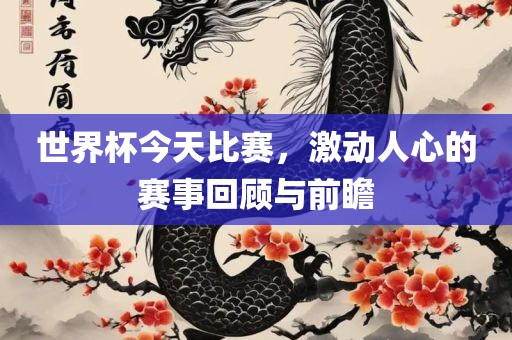 世界杯今天比赛，激动人心的赛事回顾与前瞻