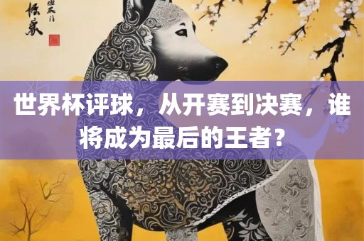 世界杯评球，从开赛到决赛，谁将成为最后的王者？