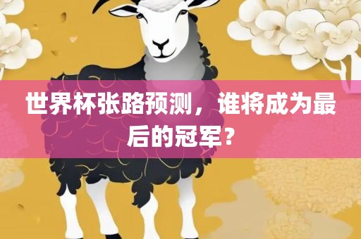 世界杯张路预测，谁将成为最后的冠军？