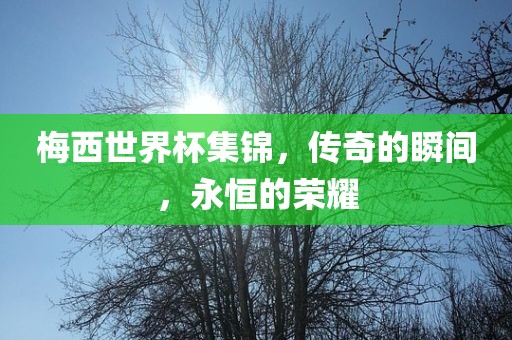 梅西世界杯集锦，传奇的瞬间，永恒的荣耀