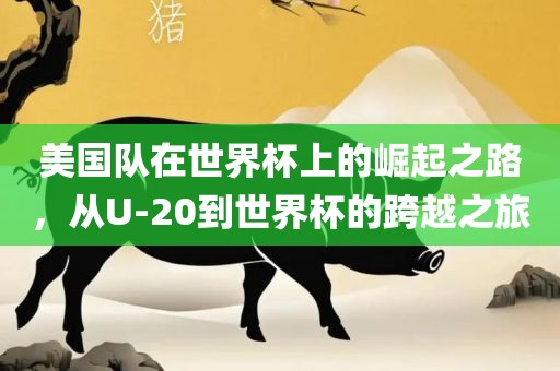 美国队在世界杯上的崛起之路，从U-20到世界杯的跨越之旅