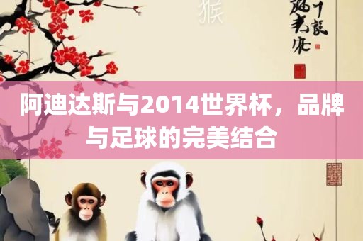 阿迪达斯与2014世界杯，品牌与足球的完美结合