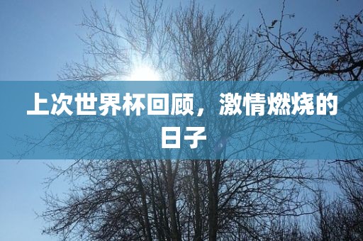 上次世界杯回顾，激情燃烧的日子