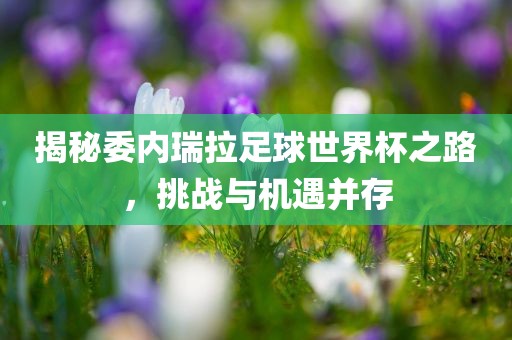 揭秘委内瑞拉足球世界杯之路，挑战与机遇并存