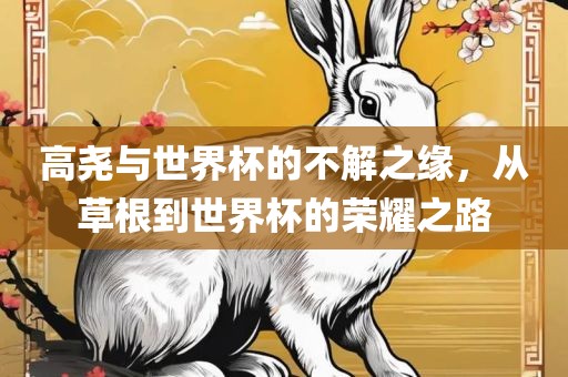 高尧与世界杯的不解之缘，从草根到世界杯的荣耀之路