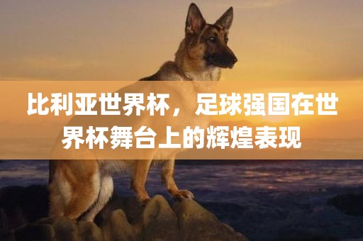 比利亚世界杯，足球强国在世界杯舞台上的辉煌表现
