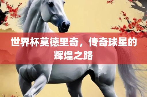 世界杯莫德里奇，传奇球星的辉煌之路