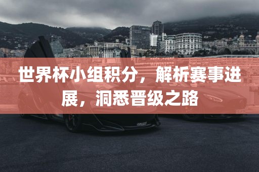 世界杯小组积分，解析赛事进展，洞悉晋级之路