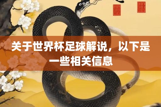 关于世界杯足球解说，以下是一些相关信息
