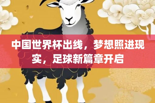 中国世界杯出线，梦想照进现实，足球新篇章开启