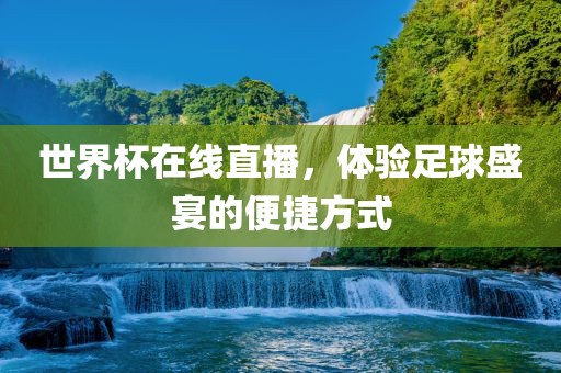 世界杯在线直播，体验足球盛宴的便捷方式