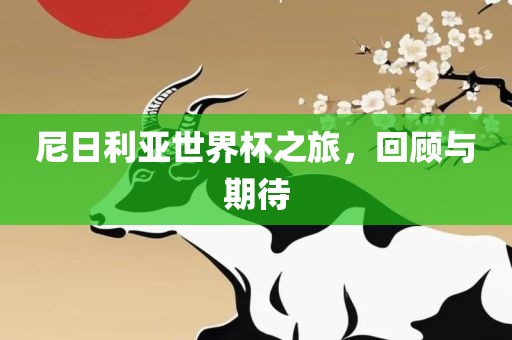 尼日利亚世界杯之旅，回顾与期待